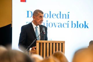 Vláda řeší nízkou porodnost. Lidi nám prý nesouloží, nadnesl Babiš